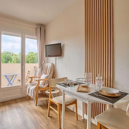 Apartment Renove Climatise Avec Balcon, Animaux Admis - Fr-1-841-24
